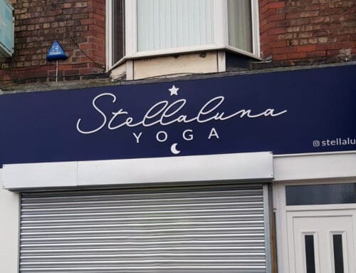 Stellaluna Yoga